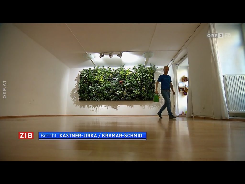 Unmittelbar vor der Renovierung: der Yoga-Raum im Erdgeschoss (Raum 1).