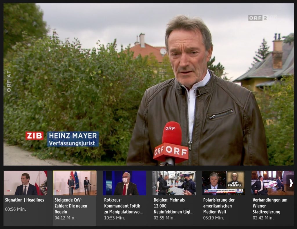 Der bekannte Verfassungsjurist Heinz Mayer wurde ebenfalls interviewt.