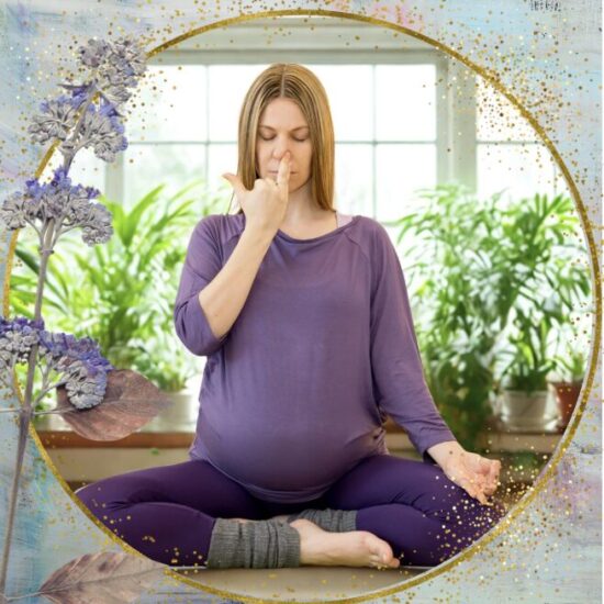 Yoga für Schwangere live online Kurs Juni